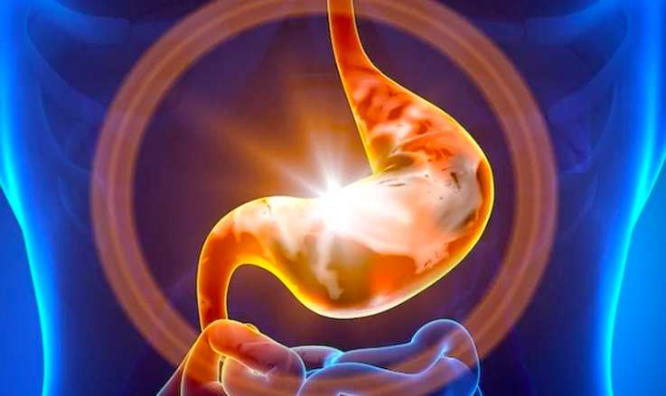 Estômago com gastrite