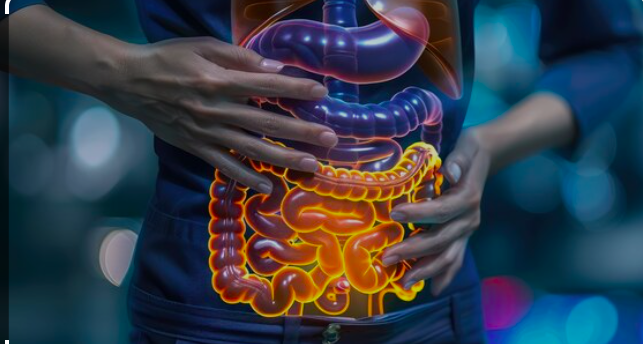 intestino irritável/ intestino irritado